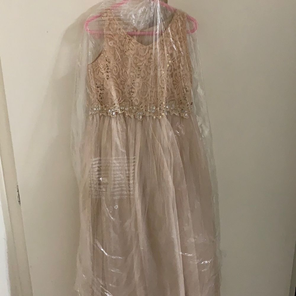 Beige Girls Tulle dress